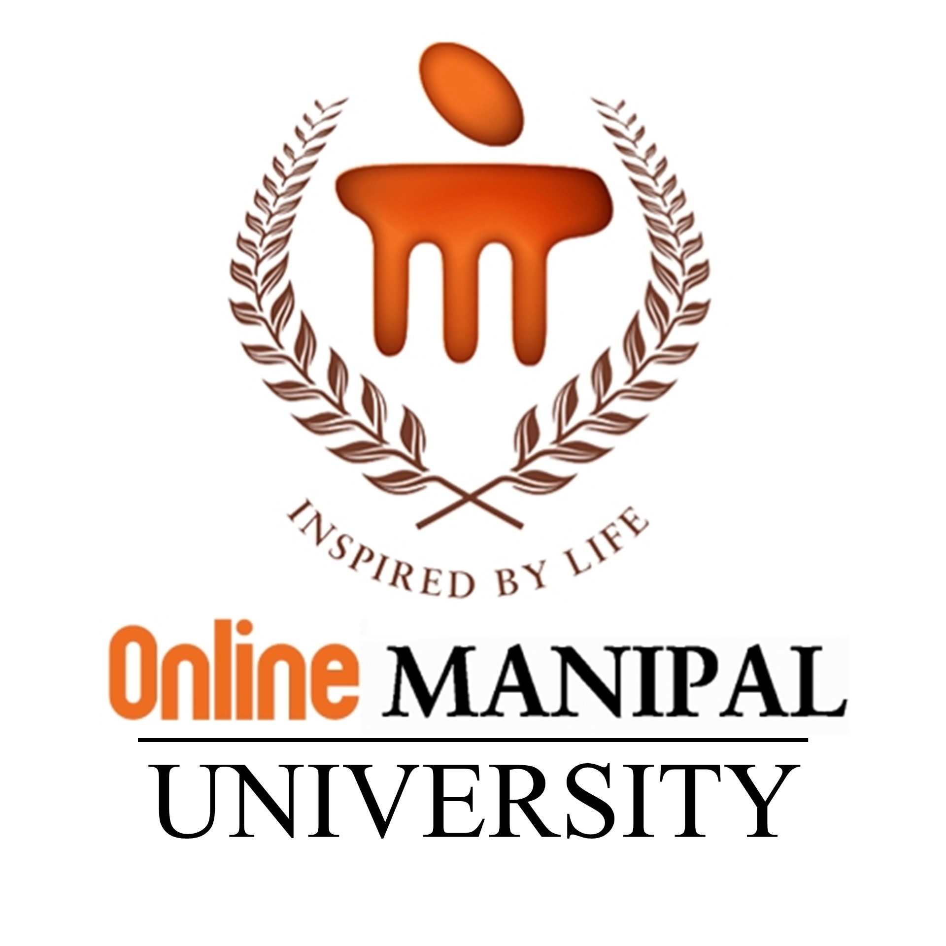 Manipal University